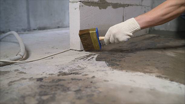 SJ Waterproofing Pros Waterproofing coverage map for Newport, OR and surrounding area